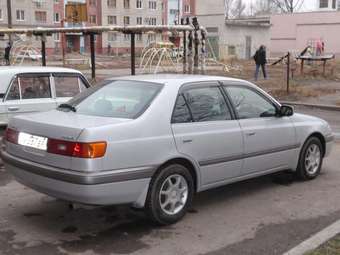 1996 Corona Premio