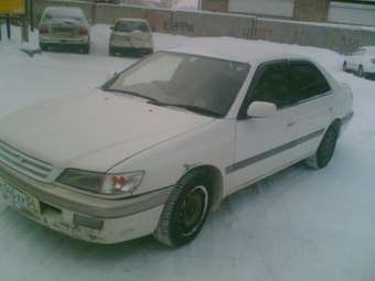 1996 Corona Premio