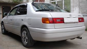 Corona Premio