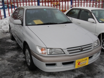 1997 Corona Premio