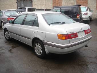 Corona Premio