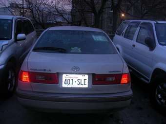1997 Corona Premio