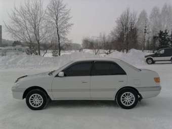 1997 Corona Premio