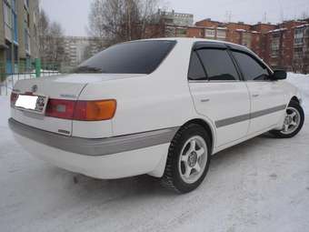 1997 Corona Premio