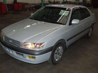 1997 Corona Premio