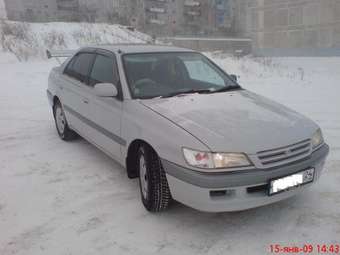 Corona Premio