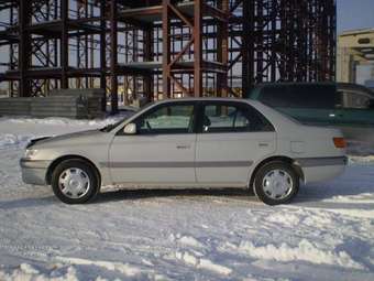 Toyota Corona Premio