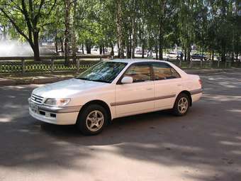 Corona Premio