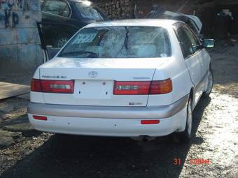 Corona Premio