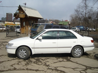 1998 Corona Premio