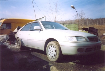 1998 Corona Premio