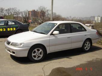 1998 Corona Premio