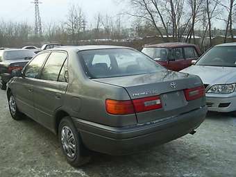 1998 Corona Premio