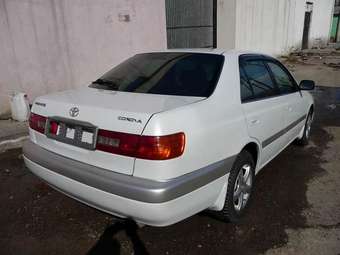 1998 Corona Premio