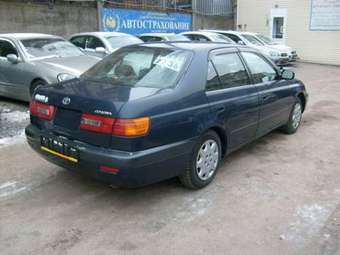 1998 Corona Premio