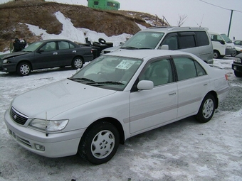 1999 Corona Premio