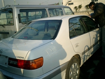Corona Premio