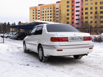 1999 Corona Premio