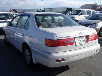 Corona Premio