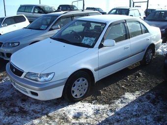 1999 Corona Premio