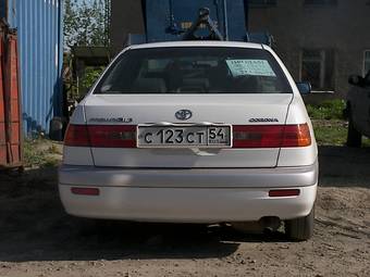 Corona Premio