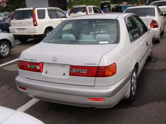 1999 Corona Premio