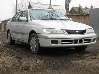 1999 Corona Premio