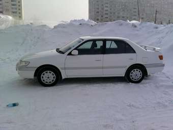Toyota Corona Premio