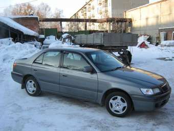 1999 Corona Premio