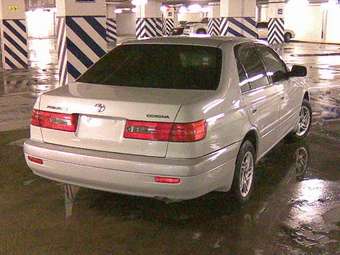 1999 Corona Premio