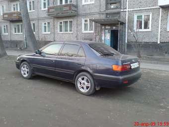 Toyota Corona Premio