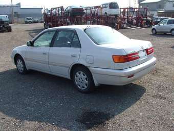 1999 Corona Premio