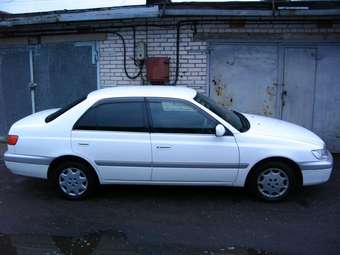 1999 Corona Premio