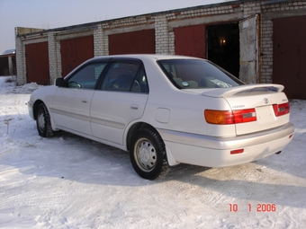 2000 Corona Premio