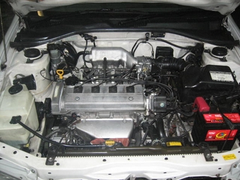 Corona Premio