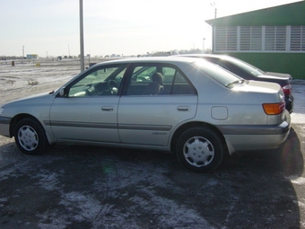 2000 Corona Premio