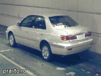 Corona Premio