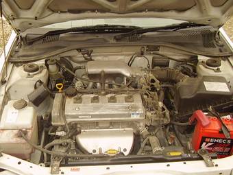 2000 Corona Premio