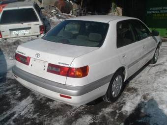2000 Corona Premio
