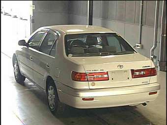 Corona Premio