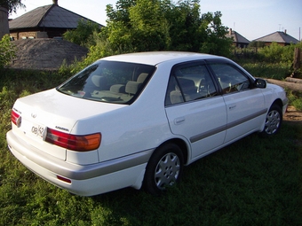 2001 Corona Premio