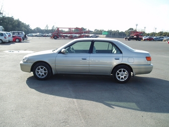 2001 Corona Premio