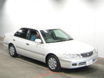 2001 Corona Premio