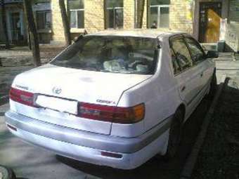 2001 Corona Premio