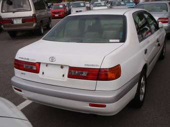 2001 Corona Premio