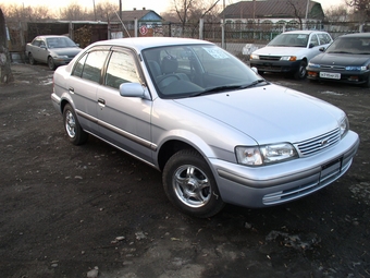 Corsa
