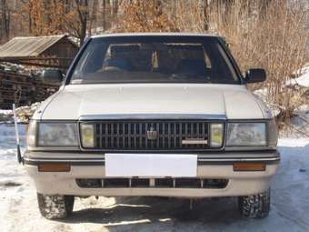 1989 Crown