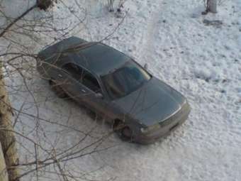 1993 Crown
