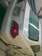 Preview Toyota Crown