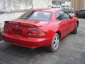 1995 Curren